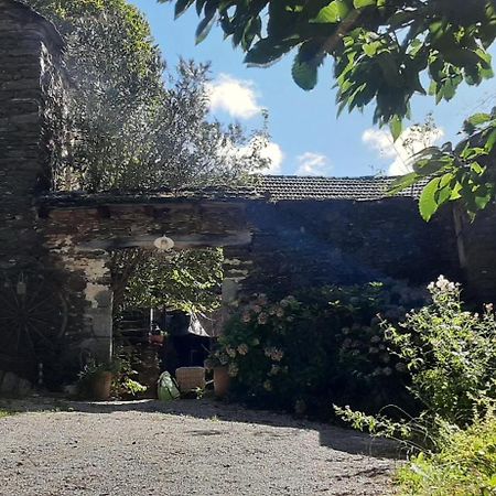 Le Petit Nid Bed and Breakfast Sablieres Eksteriør billede