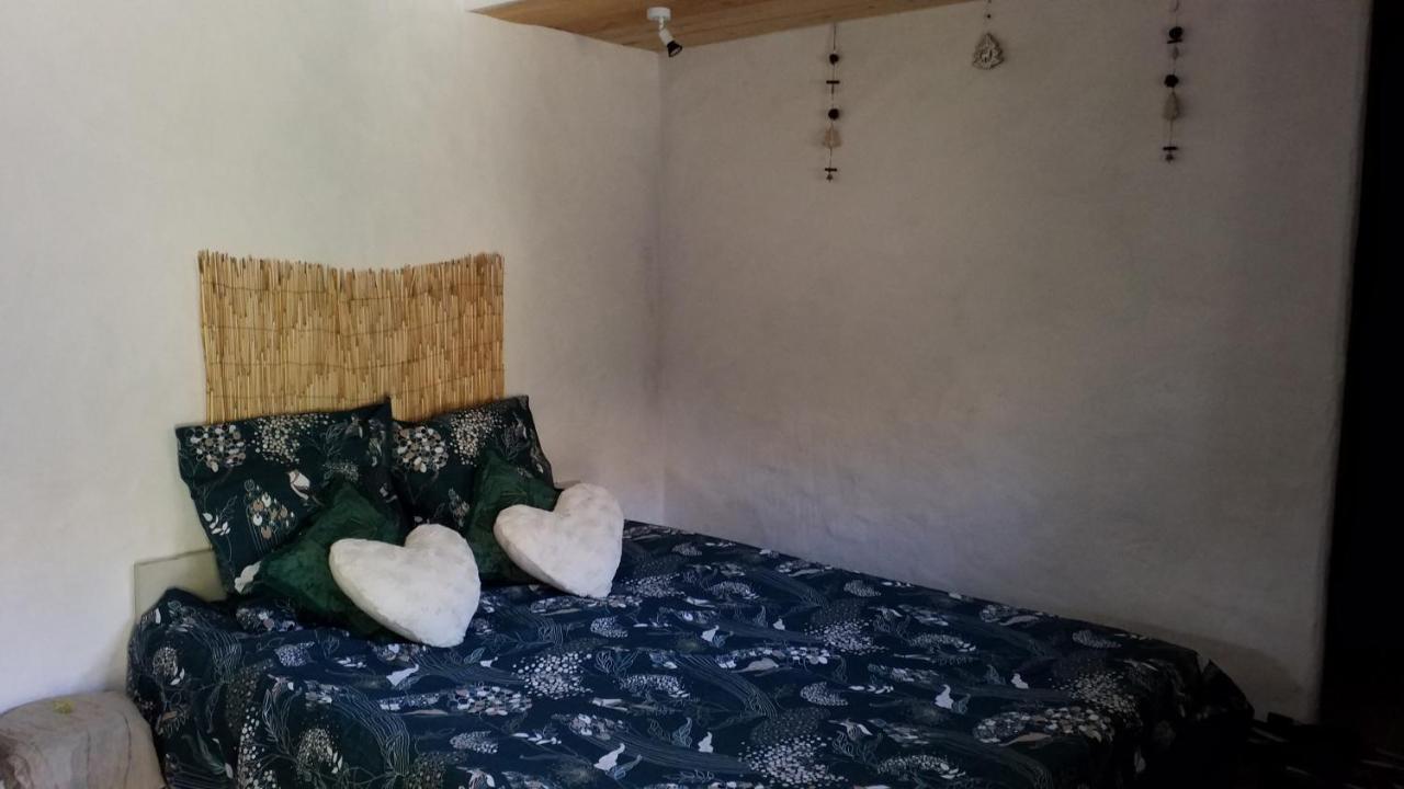 Le Petit Nid Bed and Breakfast Sablieres Eksteriør billede
