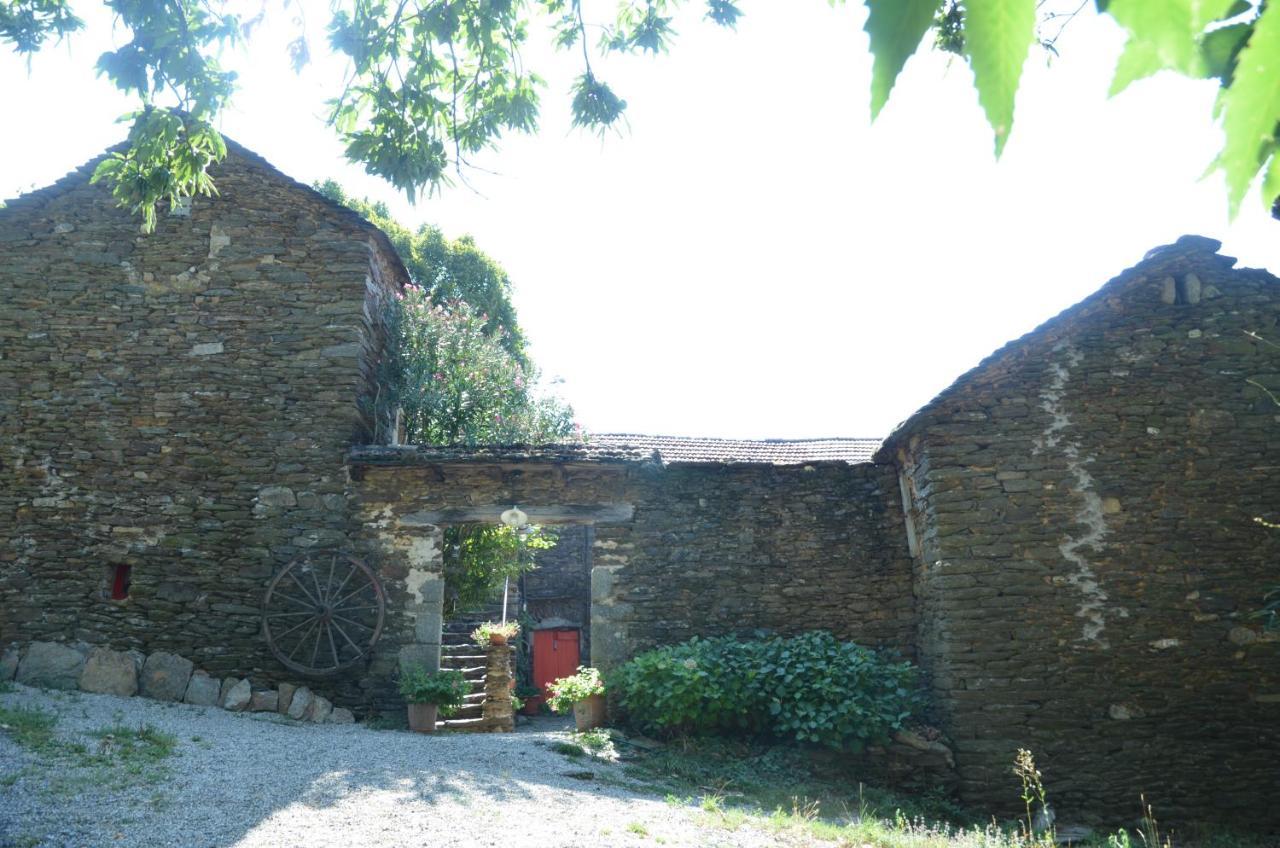 Le Petit Nid Bed and Breakfast Sablieres Eksteriør billede
