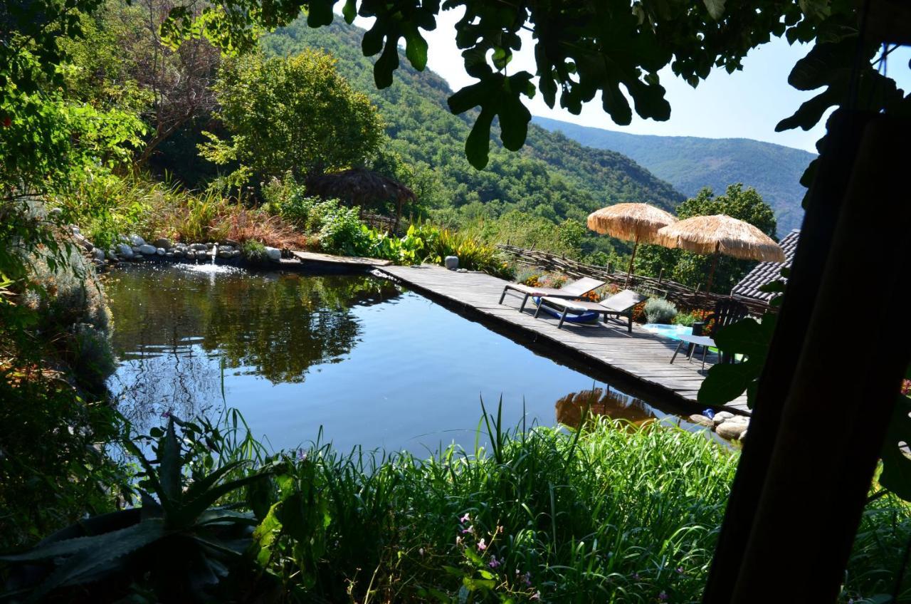 Le Petit Nid Bed and Breakfast Sablieres Eksteriør billede